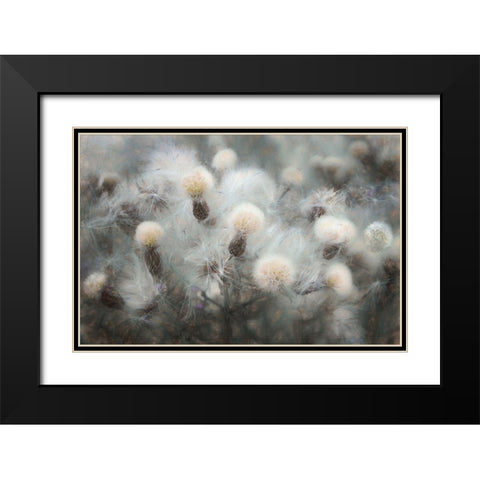 Free Fall Black Modern Wood Framed Art Print with Double Matting by Claes, Gilbert