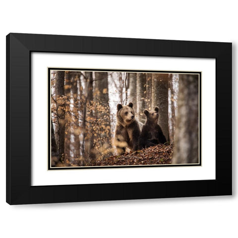 Mother And Son Black Modern Wood Framed Art Print with Double Matting by Mirica, Dan