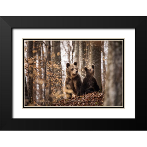 Mother And Son Black Modern Wood Framed Art Print with Double Matting by Mirica, Dan