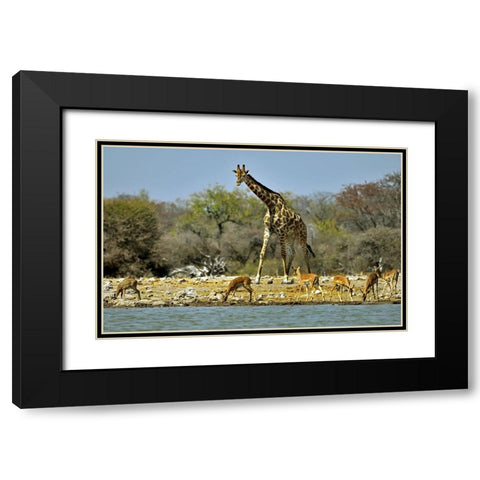 Different Sizes Black Modern Wood Framed Art Print with Double Matting by Damico, Giuseppe