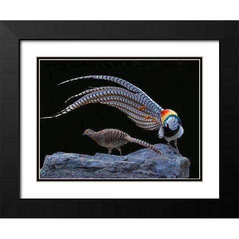 Untitled Black Modern Wood Framed Art Print with Double Matting by Fengying Long