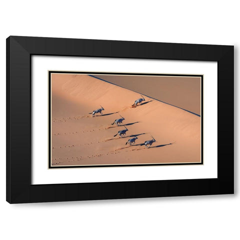 Oryx In The Desert Black Modern Wood Framed Art Print with Double Matting by Li, Min