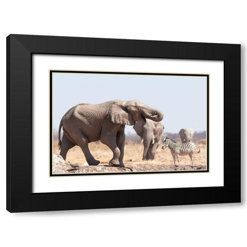Cooling Bath In The Mud Black Modern Wood Framed Art Print with Double Matting by Groth, Claudia