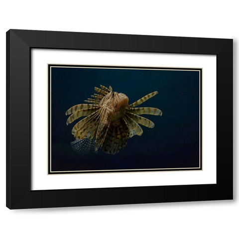 Underwater Beauty Of Nature Black Modern Wood Framed Art Print with Double Matting by Al-Hefnawy, Haytham