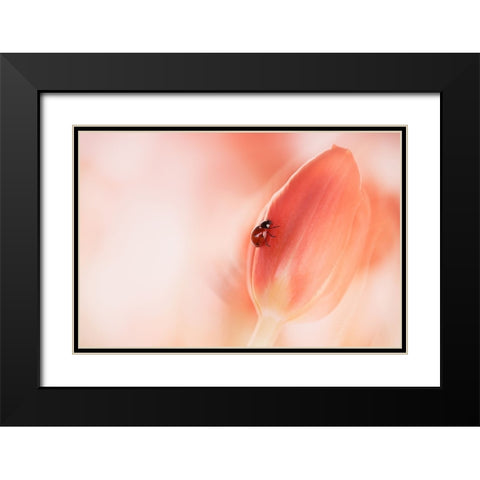 Simplicity Black Modern Wood Framed Art Print with Double Matting by Van Deelen, Ellen