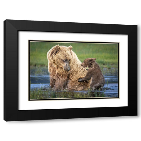 Bear-Back Ride? Black Modern Wood Framed Art Print with Double Matting by C. Sink, Jeffrey