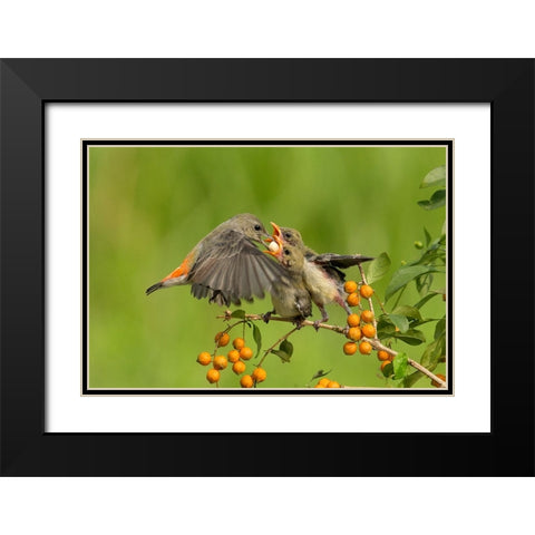 MotherS Love Black Modern Wood Framed Art Print with Double Matting by Muliani Hartojo, Angela