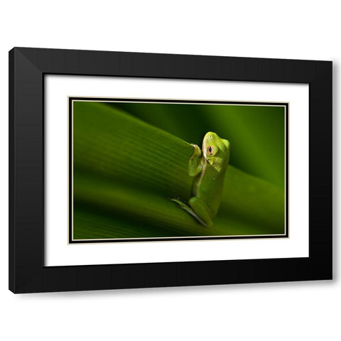 Take A Look Outside Black Modern Wood Framed Art Print with Double Matting by He, Mike