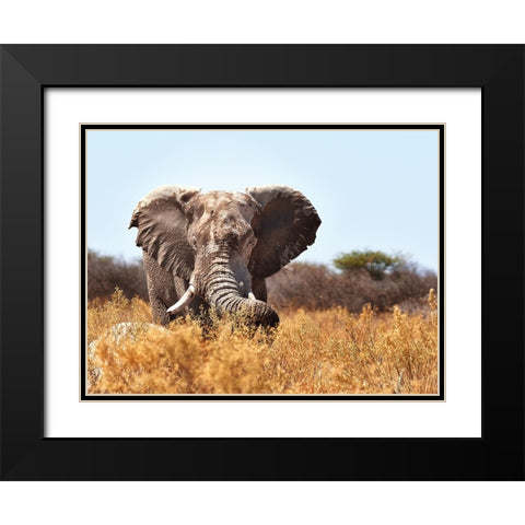 The Guard Black Modern Wood Framed Art Print with Double Matting by Groth, Claudia