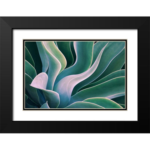 Shades Of Summer Black Modern Wood Framed Art Print with Double Matting by Wechsler, Robin