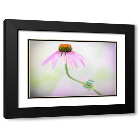 Protected Black Modern Wood Framed Art Print with Double Matting by Doyle, Renee