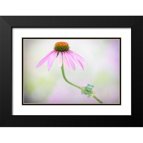 Protected Black Modern Wood Framed Art Print with Double Matting by Doyle, Renee