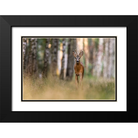 Untitled Black Modern Wood Framed Art Print with Double Matting by S., Damian