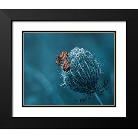 Macnage An Trois Black Modern Wood Framed Art Print with Double Matting by Stefanel, Nicolae