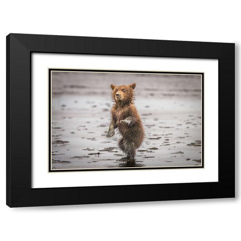 Qbustedq Black Modern Wood Framed Art Print with Double Matting by C. Sink, Jeffrey