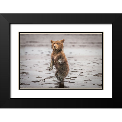 Qbustedq Black Modern Wood Framed Art Print with Double Matting by C. Sink, Jeffrey