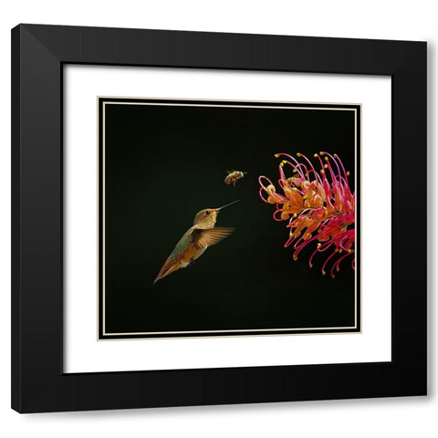 Having Fun Together Black Modern Wood Framed Art Print with Double Matting by Huang, Xiaojian