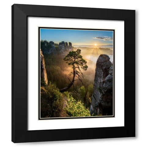The Third Most Famous Pine Of Saxony Switzerland Black Modern Wood Framed Art Print with Double Matting by Holic, Filip
