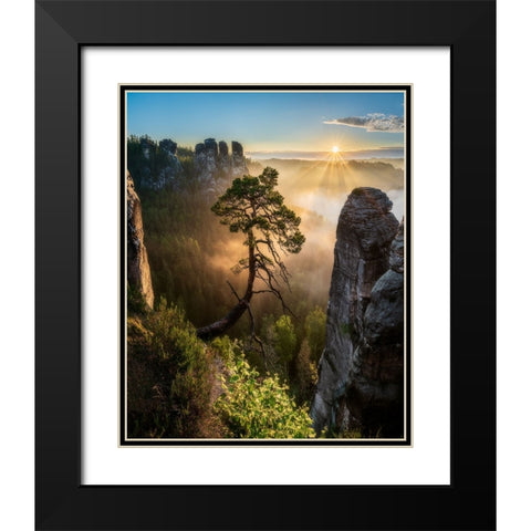 The Third Most Famous Pine Of Saxony Switzerland Black Modern Wood Framed Art Print with Double Matting by Holic, Filip