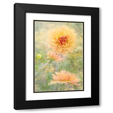 Secret Garden Black Modern Wood Framed Art Print with Double Matting by Parker, Jacky