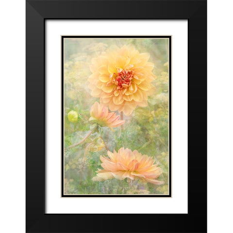 Secret Garden Black Modern Wood Framed Art Print with Double Matting by Parker, Jacky