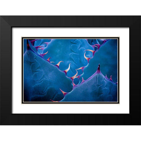Untitled Black Modern Wood Framed Art Print with Double Matting by Pandya, Hardik