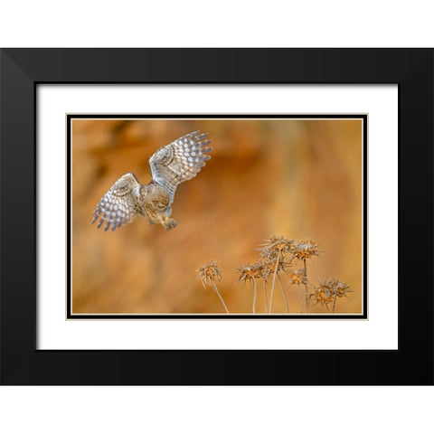 Careful Black Modern Wood Framed Art Print with Double Matting by Rudaeff, Pablo