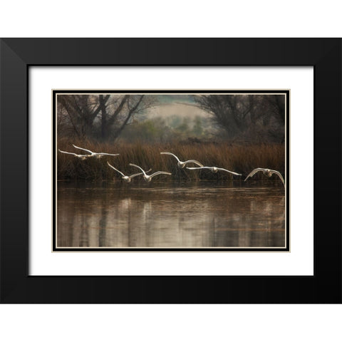 Fly To You Black Modern Wood Framed Art Print with Double Matting by Liu, Wei