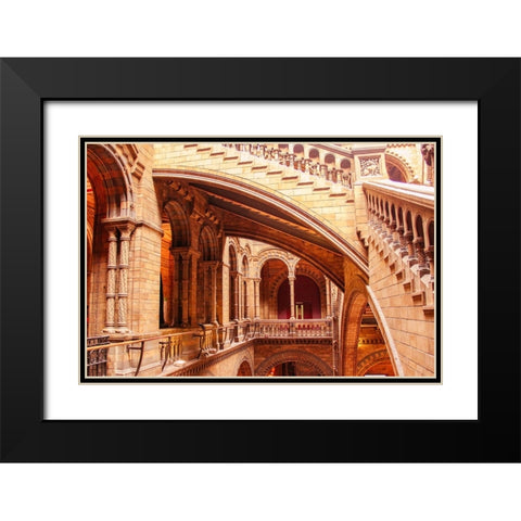 In Natural History Museum Black Modern Wood Framed Art Print with Double Matting by Kogan, Anna