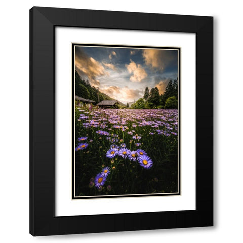 Flowers That Bloom Only Here Black Modern Wood Framed Art Print with Double Matting by Matsubara, Hiroki