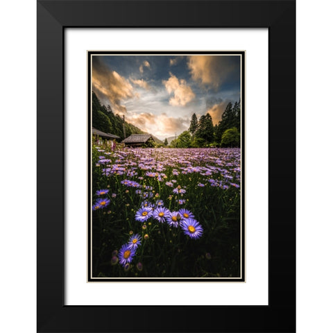 Flowers That Bloom Only Here Black Modern Wood Framed Art Print with Double Matting by Matsubara, Hiroki
