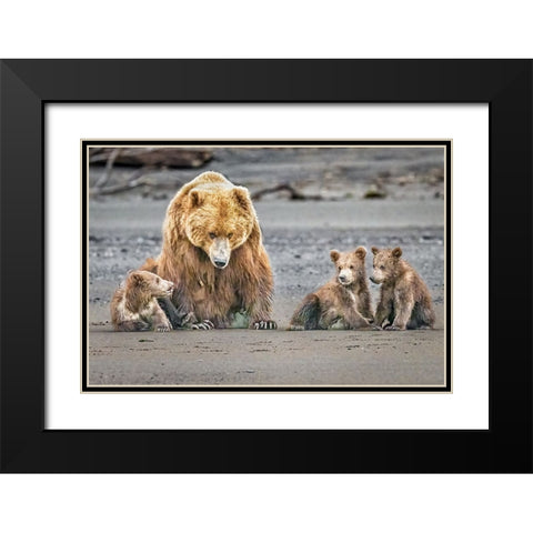 The Triplets Black Modern Wood Framed Art Print with Double Matting by C. Sink, Jeffrey