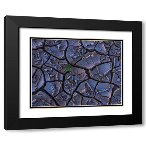 Cracking Beauty Black Modern Wood Framed Art Print with Double Matting by P., Ruiqing