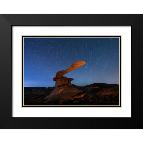 King Of Wings Black Modern Wood Framed Art Print with Double Matting by Ji, Shirley