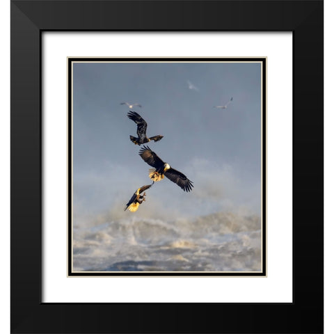 Bald Eagles Black Modern Wood Framed Art Print with Double Matting by Li, Yunqiang