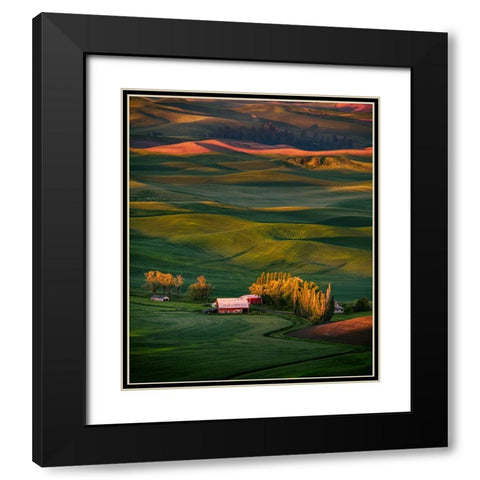 Wheat Field 3 Black Modern Wood Framed Art Print with Double Matting by Sheng, Alice
