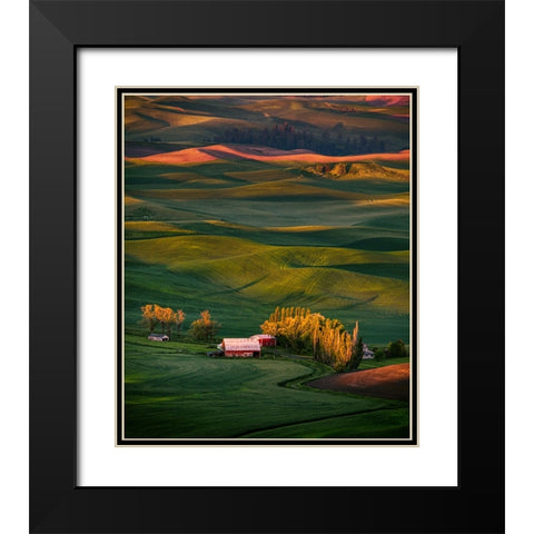 Wheat Field 3 Black Modern Wood Framed Art Print with Double Matting by Sheng, Alice
