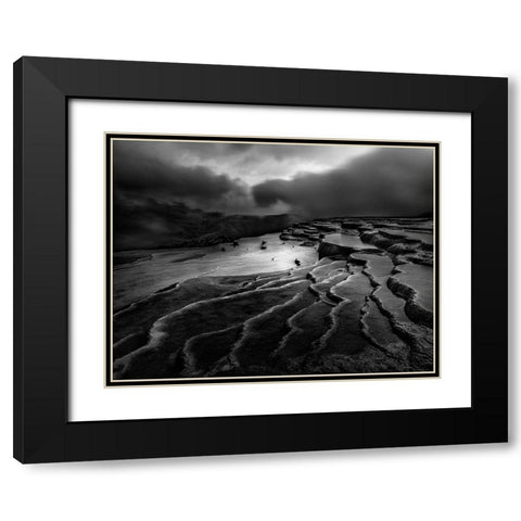 Lord Of Nature Black Modern Wood Framed Art Print with Double Matting by Arabzadeh, Abbas