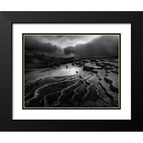 Lord Of Nature Black Modern Wood Framed Art Print with Double Matting by Arabzadeh, Abbas