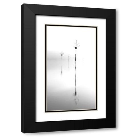 Trees Black Modern Wood Framed Art Print with Double Matting by Zhang, Mei