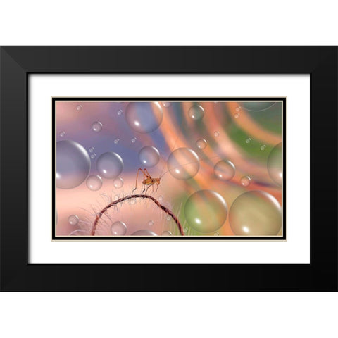 Last Rays Of Sun... Black Modern Wood Framed Art Print with Double Matting by Dufour, Thierry
