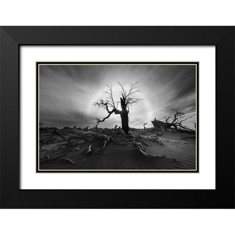 Solar Halo Black Modern Wood Framed Art Print with Double Matting by Liao, Yuhan
