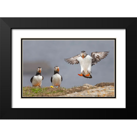 I Am Coming Black Modern Wood Framed Art Print with Double Matting by Fu, Molly