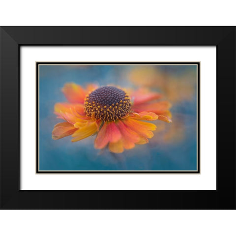 Summer Joy Black Modern Wood Framed Art Print with Double Matting by Jacobs, Lydia
