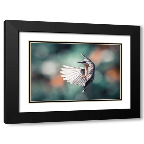 Dynamic Wings Black Modern Wood Framed Art Print with Double Matting by Colemont, Niki