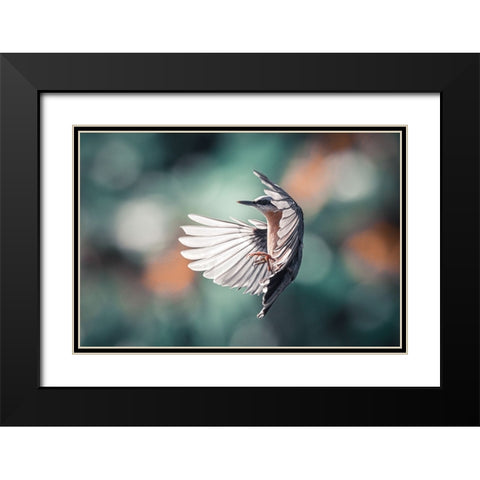 Dynamic Wings Black Modern Wood Framed Art Print with Double Matting by Colemont, Niki