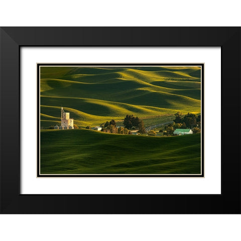Palouse Wheat Fields Black Modern Wood Framed Art Print with Double Matting by Dickau, Kristel