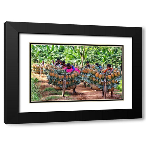 Ripe Pineapple Black Modern Wood Framed Art Print with Double Matting by Rahman Nasim, Mostafijur