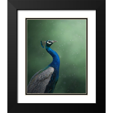 Crowned Onlooker Black Modern Wood Framed Art Print with Double Matting by Rawat, Chaitanya