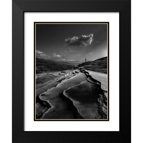 Lord Of Nature Black Modern Wood Framed Art Print with Double Matting by Arabzadeh, Abbas